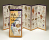 Shells of the Southeast Atlantic Coast (Folding Guides)