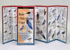 Birds of the Mid-Atlantic Coast (Folding Guides)