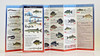 Fishes of the Great Lakes Region (Folding Guides)