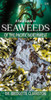 A Field Guide to Seaweeds of the Pacific Northwest