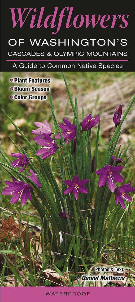 Wildflowers of Washingtonâ€™s Cascade and Olympic Mountains (Quick Reference Guides)