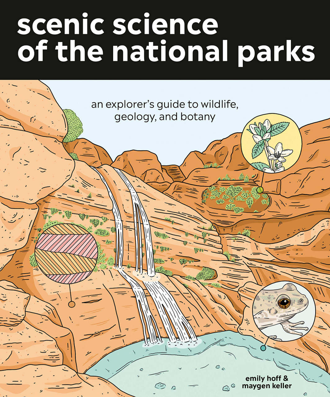 Scenic Science of the National Parks: An Explorer's Guide to Wildlife, Geology and Botany