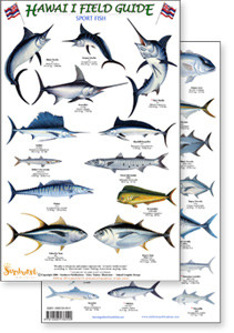 Hawaii Sport Fish Guide (Laminated 2-Sided Card)