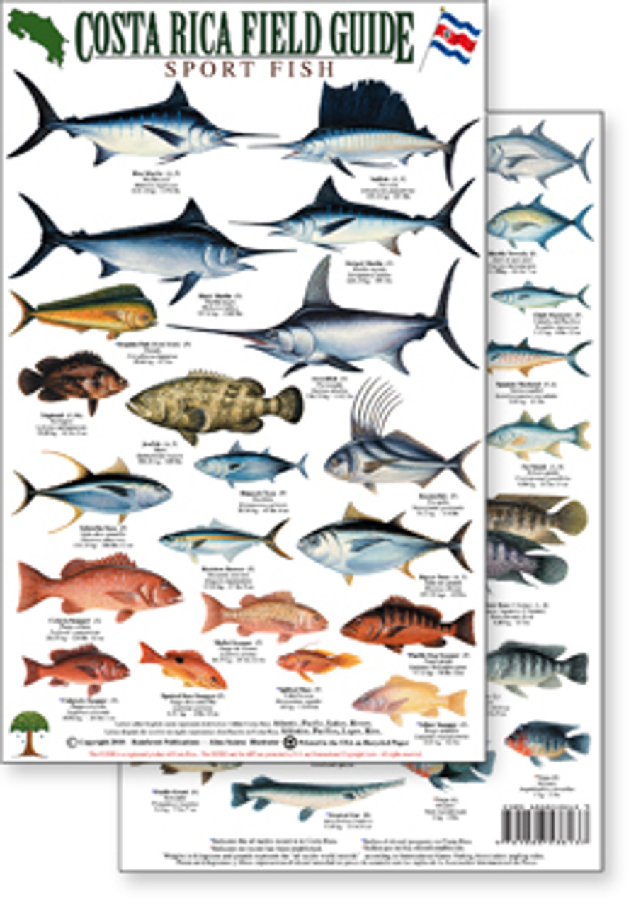 Costa Rica Sport Fish Field Guide (Laminated 2-Sided Card)