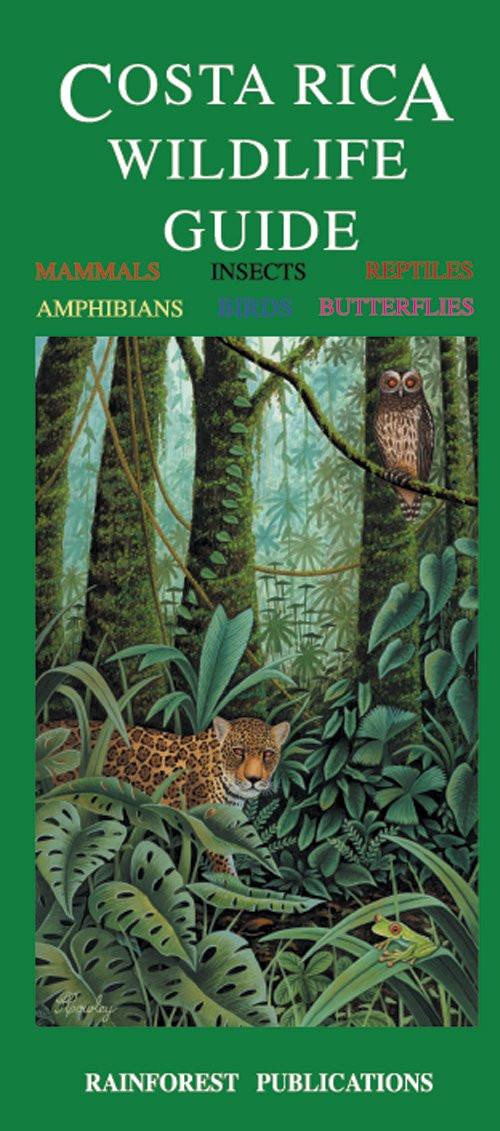 Costa Rica Wildlife Guide