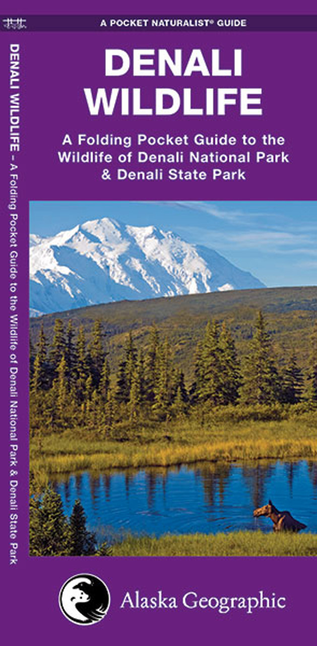 Denali Wildlife