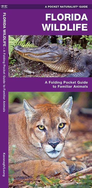 Florida Wildlife