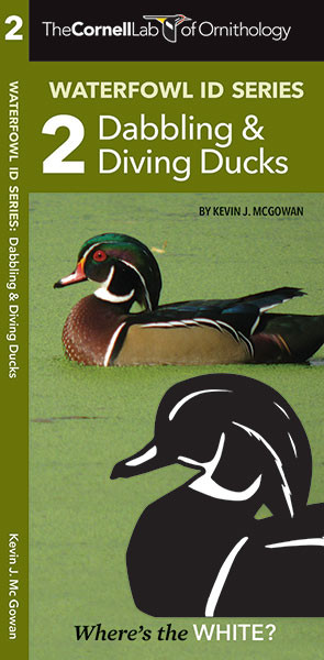 Cornell Lab of Ornithology Waterfowl ID: #2 Dabbling Ducks & Diving Ducks