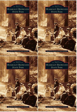 Humboldt Redwoods State Park