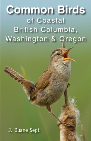 Common Birds of Coastal British Columbia, Washington & Oregon