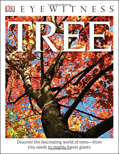 DK Eyewitness Books: Tree: Discover the Fascinating World of Trees from Tiny Seeds to Mighty Forest Giants