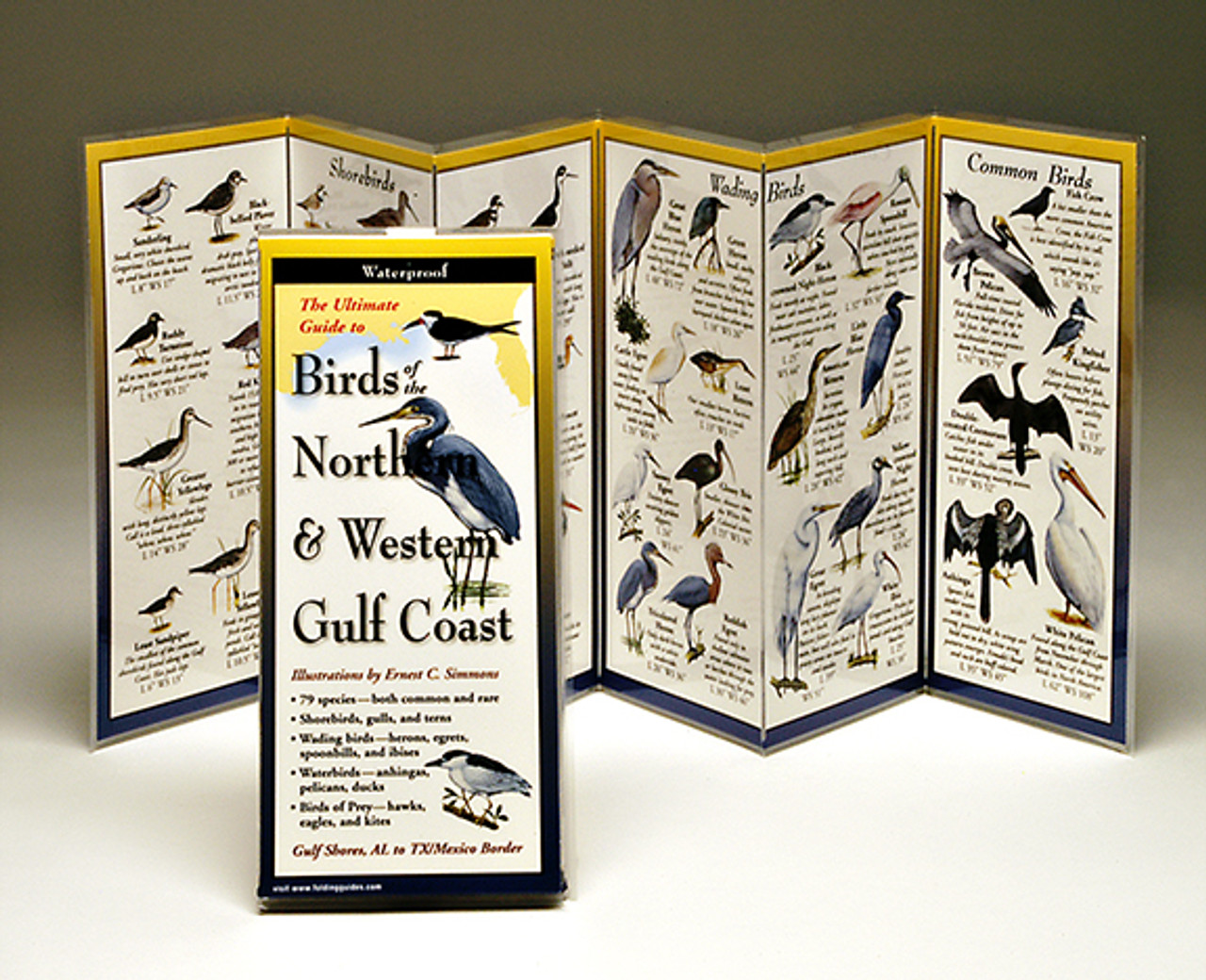 Birds of the Northern & Western Gulf Coast (Folding Guides)