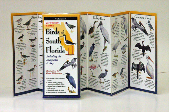 Birds of South Florida (Folding Guides)