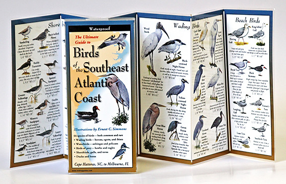 Birds of the Southeast Atlantic Coast (Folding Guides)