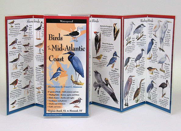 Birds of the Mid-Atlantic Coast (Folding Guides)