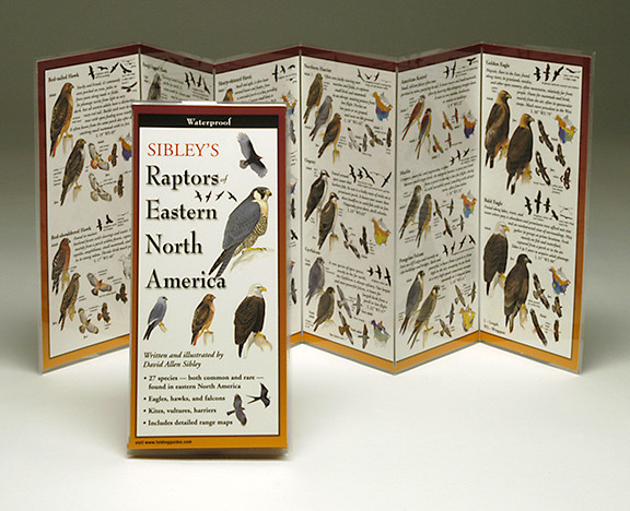 Sibley's Raptors of Eastern North America (Folding Guides)