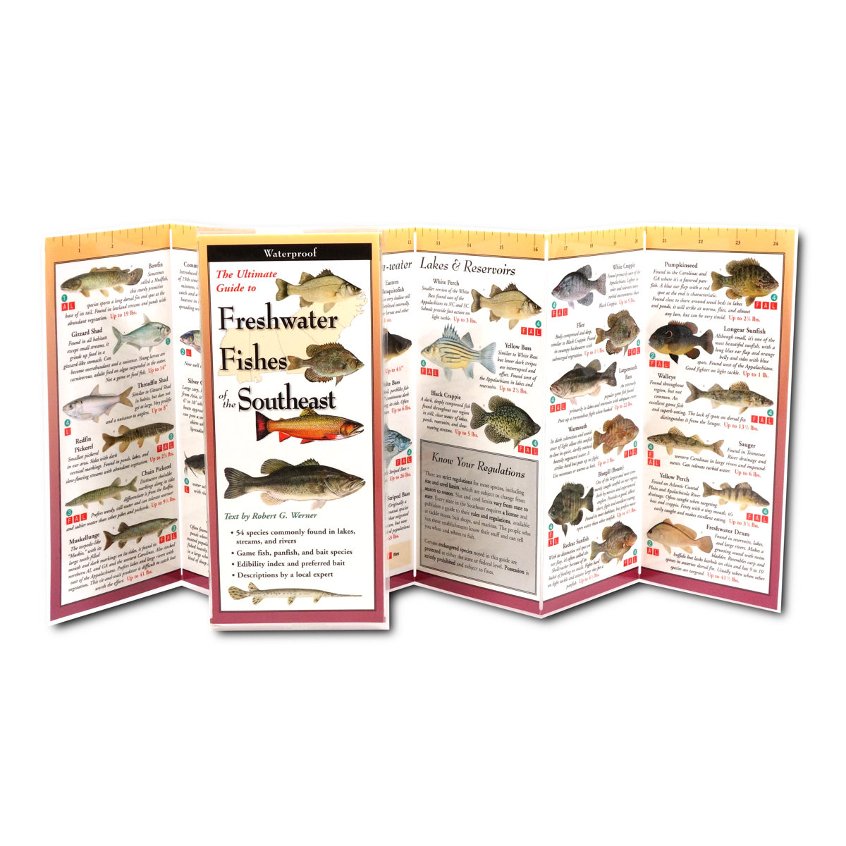 Freshwater Fishes of the Southeast