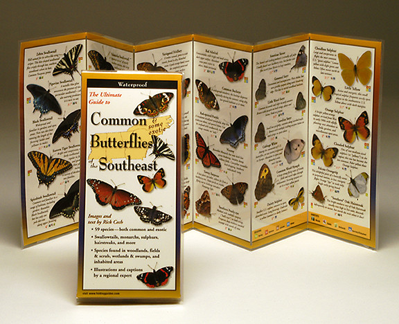 Common Butterflies of the Southeast (Folding Guides)