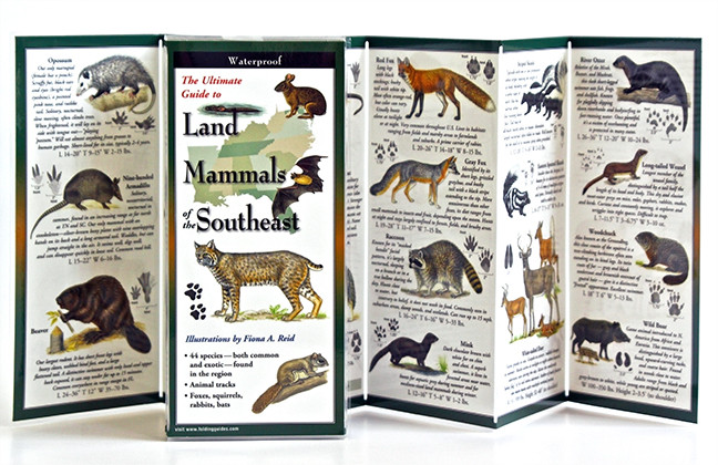 Land Mammals of the Southeast (Folding Guides)