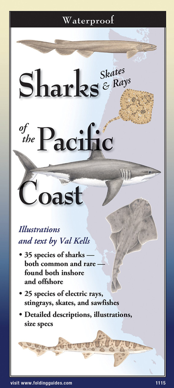 Sharks, Skates & Rays Of The Pacific Coast