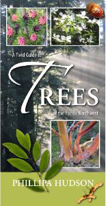 A Field Guide to Trees of the Pacific Northwest (Folding Pocket Guide)