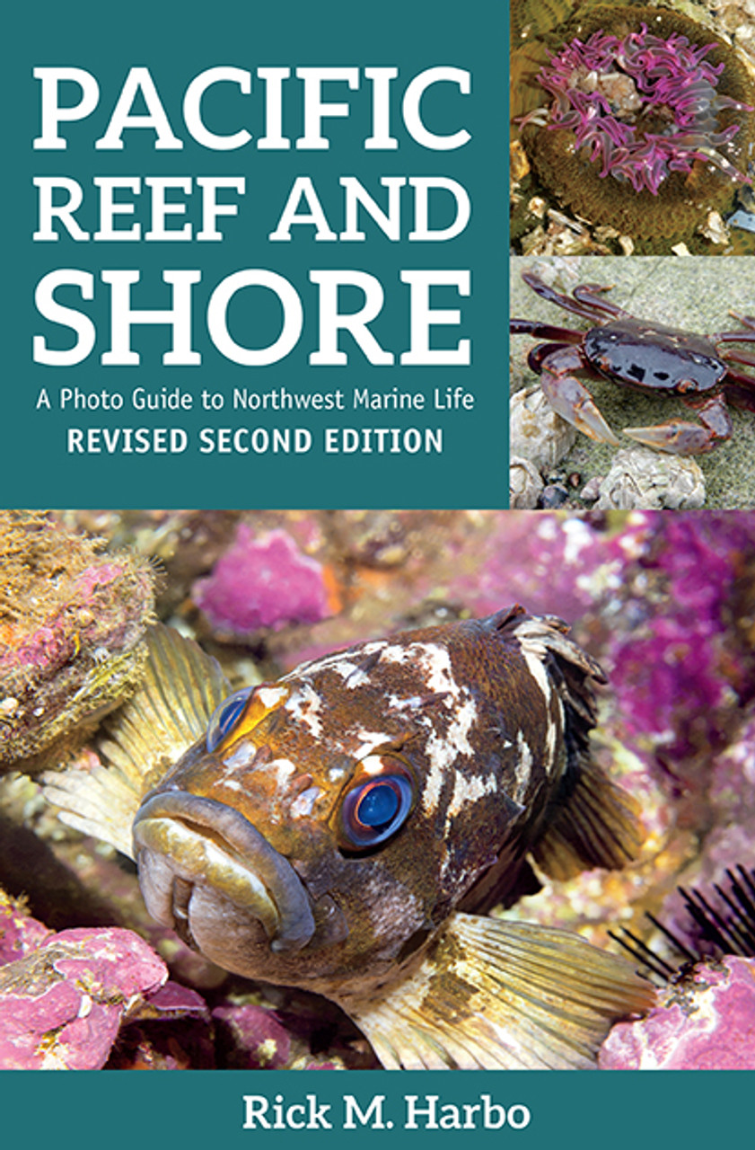 Pacific Reef & Shore: A Photo Guide to Northwest Marine Life from Alaska to Northern California 2nd Edition