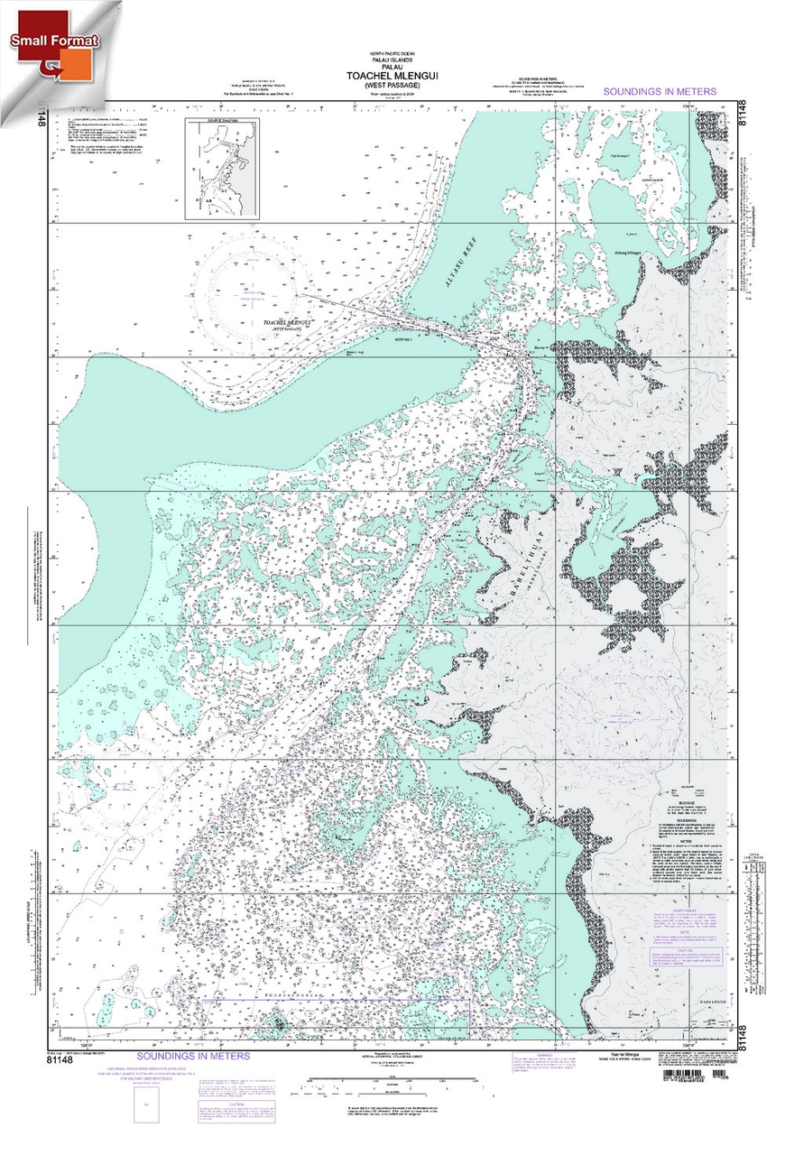 NGA Chart 81148: ToachelÃ¡Mlengui, Approx. Size 21" x 29" (SMALL FORMAT WATERPROOF)