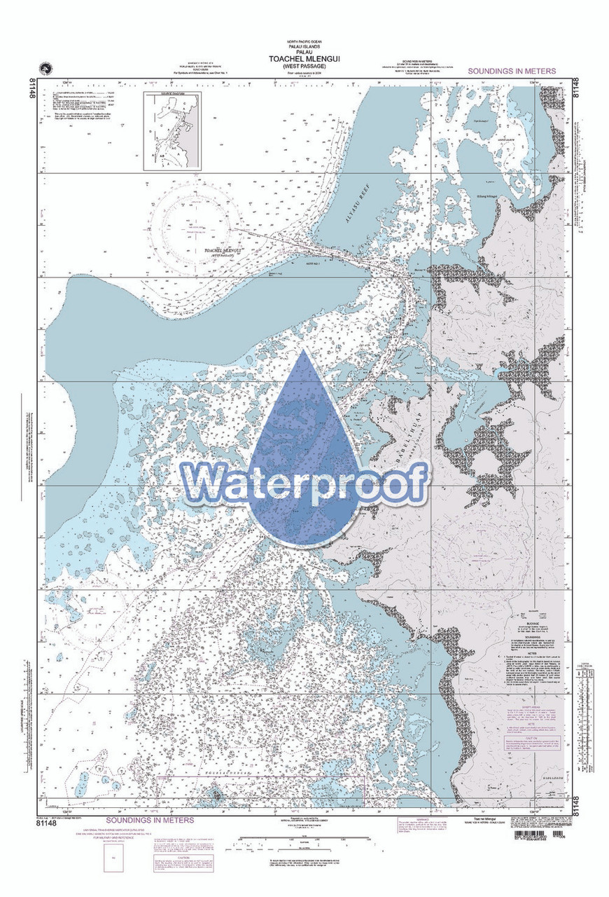 Waterproof NGA Chart 81148: Toachel Mlengui