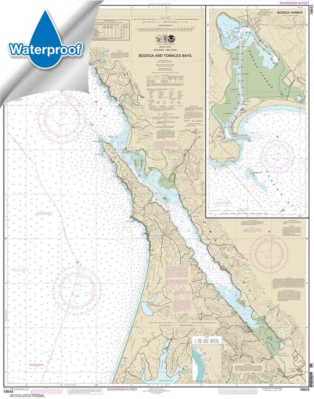 Waterproof HISTORICAL NOAA Chart 18643: Bodega and Tomales Bays;Bodega Harbor