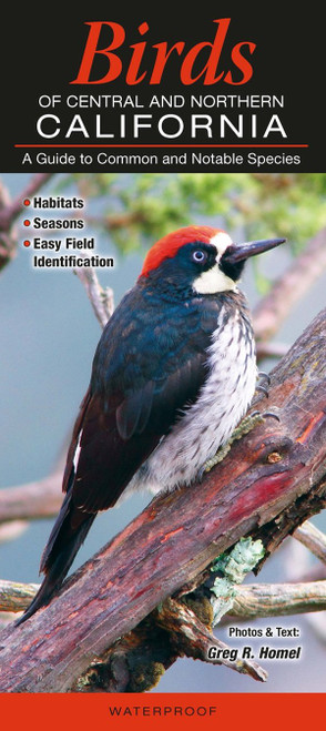 Birds of Central & Northern California