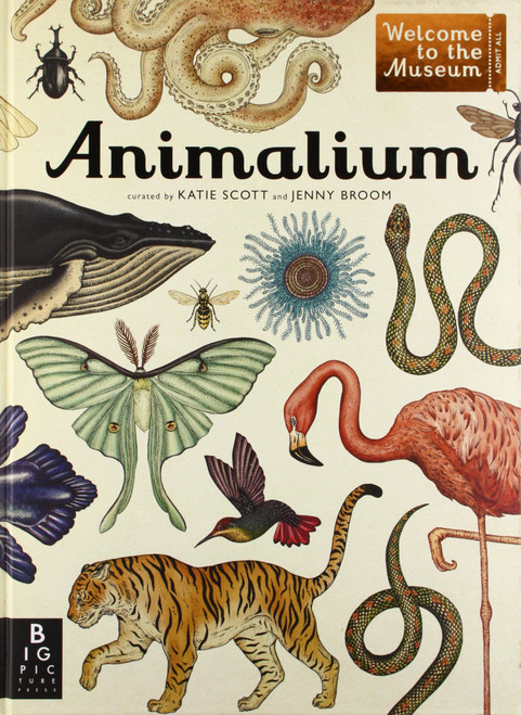 Animalium (Welcome to the Museum Series)