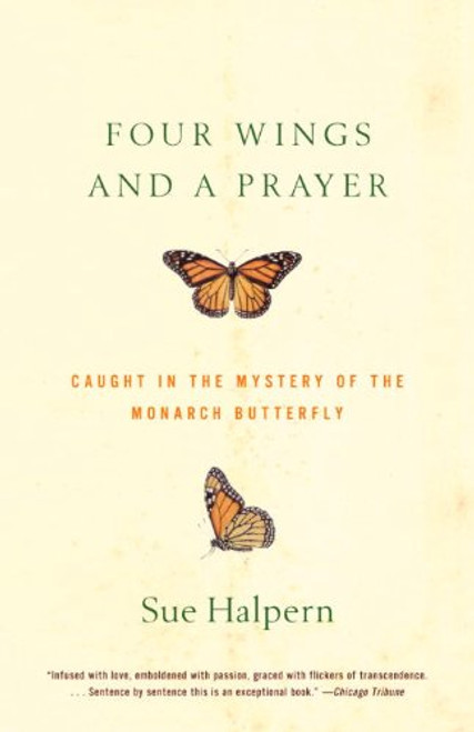 Four Wings and a Prayer: Caught in the Mystery of the Monarch Butterfly
