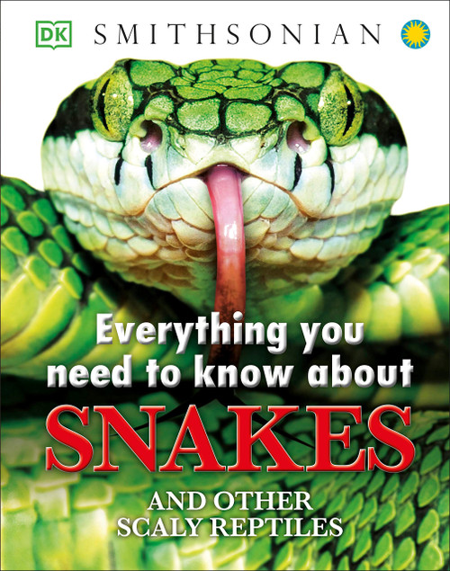 Everything You Need to Know About Snakes