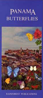 Panama: Butterflies (Folding Pocket Guide)