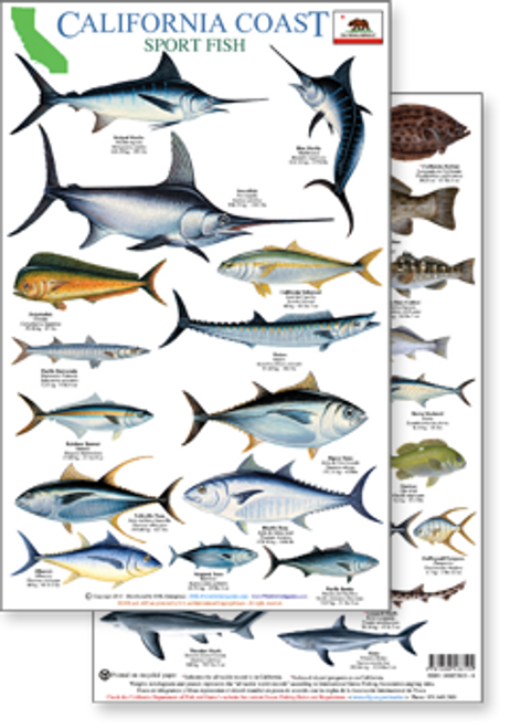 California Coast Field Guide: Sportfish