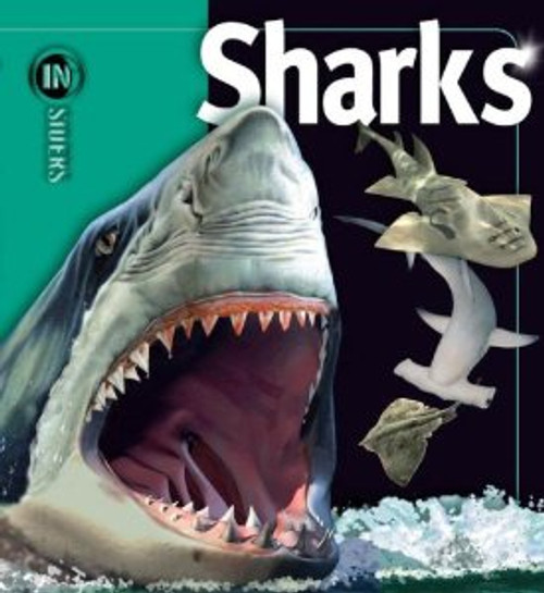 INSIDERS: Sharks