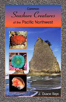 Common Seashore Creatures of the Northwest