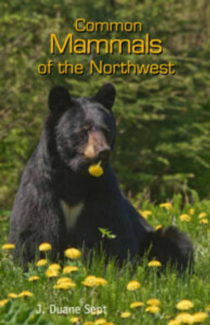 Common Mammals of the Northwest