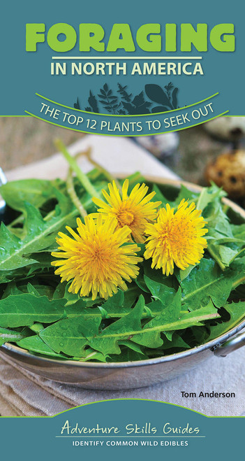 Adventure Skills Guides: Foraging in North America: The Top 12 Plants to Seek Out