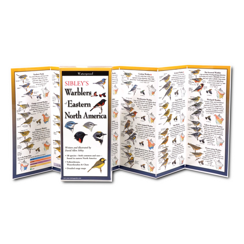 Sibleyâ€™s Warblers of Eastern North America