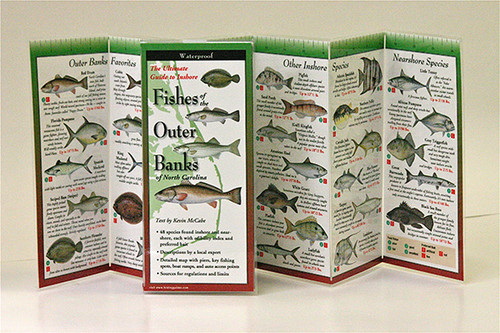 Fishes of the Outer Banks of North Carolina (Folding Guides)