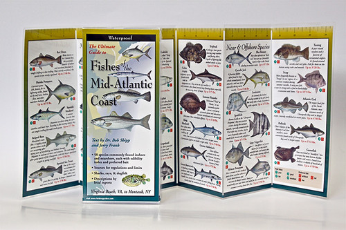 Fishes of the Mid-Atlantic Coast (Folding Guides)