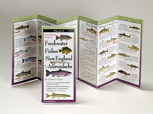 Freshwater Fishes of New England & Adirondacks (Folding Guides)