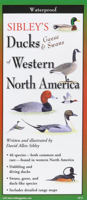 Sibley's Ducks, Geese,& Swans of Western N.A.