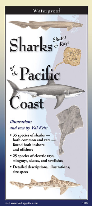 Sharks, Skates & Rays Of The Pacific Coast