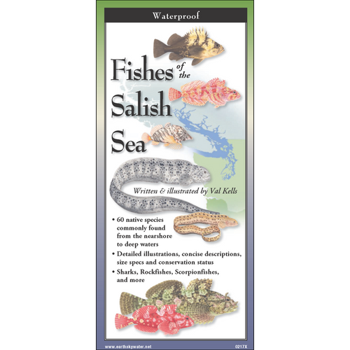 Fishes of the Salish Sea