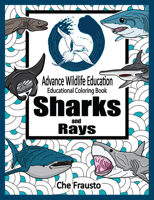 Sharks and Rays Educational Coloring Book