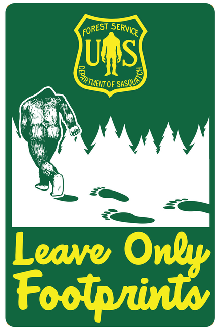 USFS Leave Only Footprints (10 PACK)