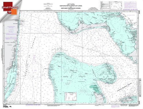 NGA Chart 26320: N. Prt Strait Of Fla. And Nw Providence, Approx. Size 21" x 27" (SMALL FORMAT WATERPROOF)