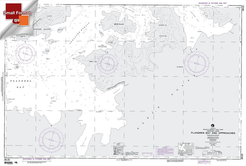 NGA Chart 29125: Flandres Bay And Apprs, Approx. Size 21" x 31" (SMALL FORMAT WATERPROOF)